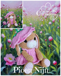 Garen Pakket Pioen-Nijn